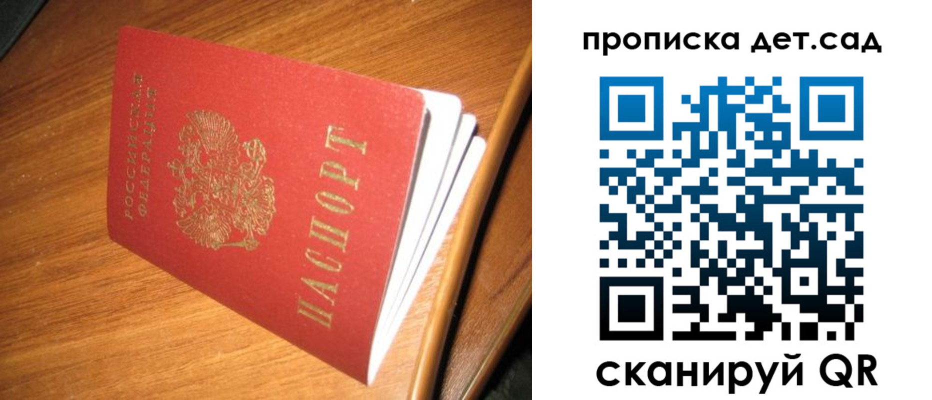 прописка гарантия в Пионерском